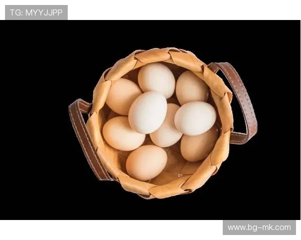 陆丰足球球星名单及其成长历程探索